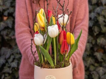 Livrare flori targu mures aranjament cu flori lalele colorate